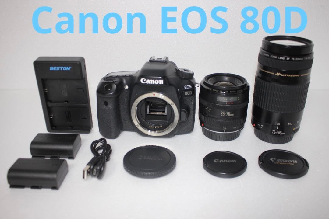 保証付☆キャノン Canon EOS 80D 標準＆望遠ダブルレンズセット