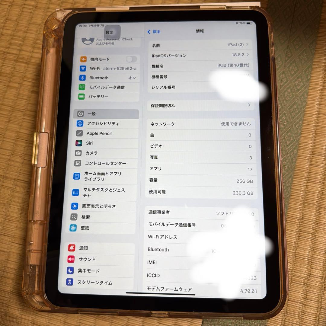 極美品　Apple iPad（第10世代）Wi-Fi+Celluler 256G