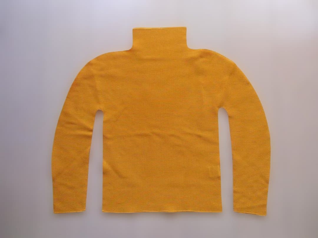 胡蝶蘭さん用【ME ISSEY MIYAKE】ストレッチプリーツハイネック長袖