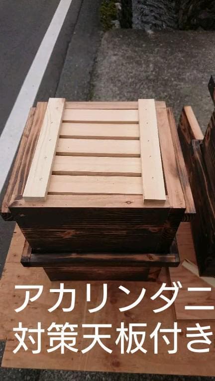 蜜蜂巣箱4段監視扉付