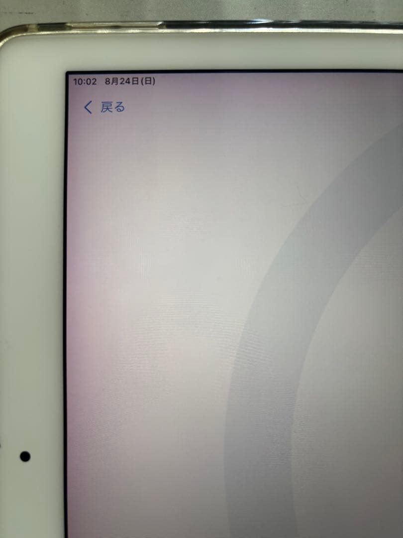 iPad Pro 12.9インチ 第2世代 Wi-Fi 64GB 画面変色あり