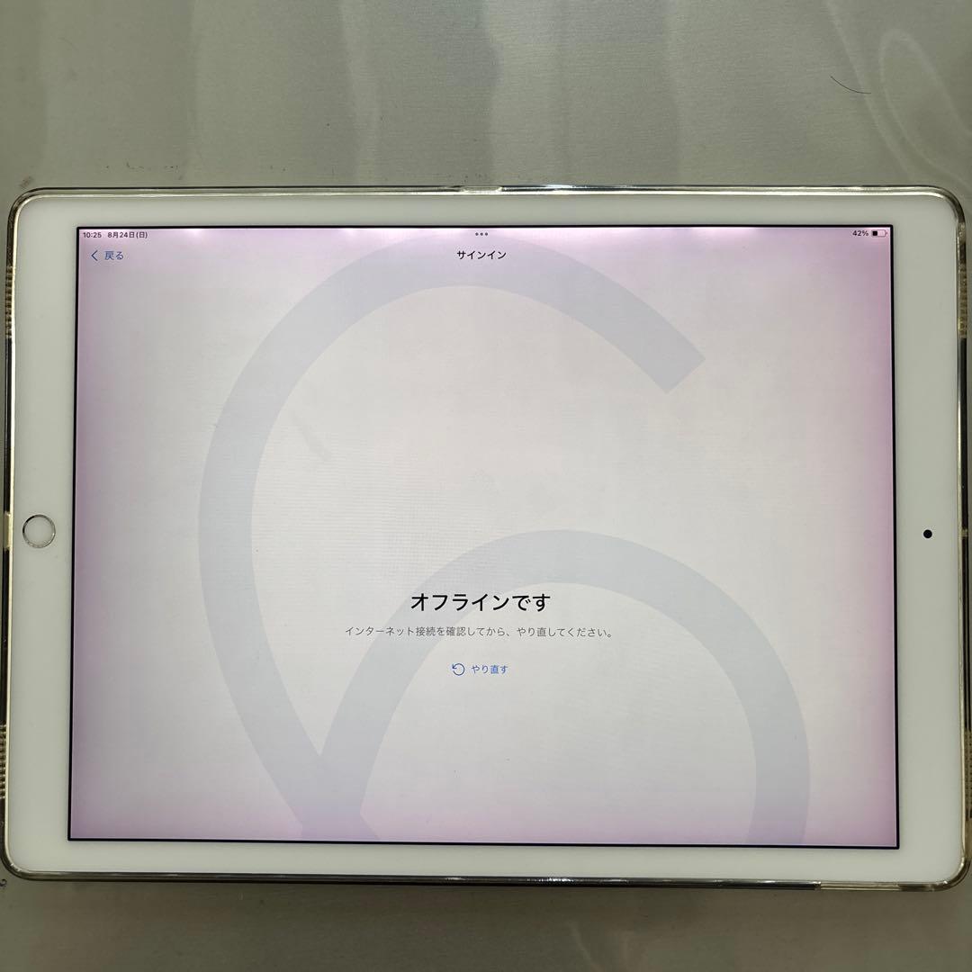 iPad Pro 12.9インチ 第2世代 Wi-Fi 64GB 画面変色あり