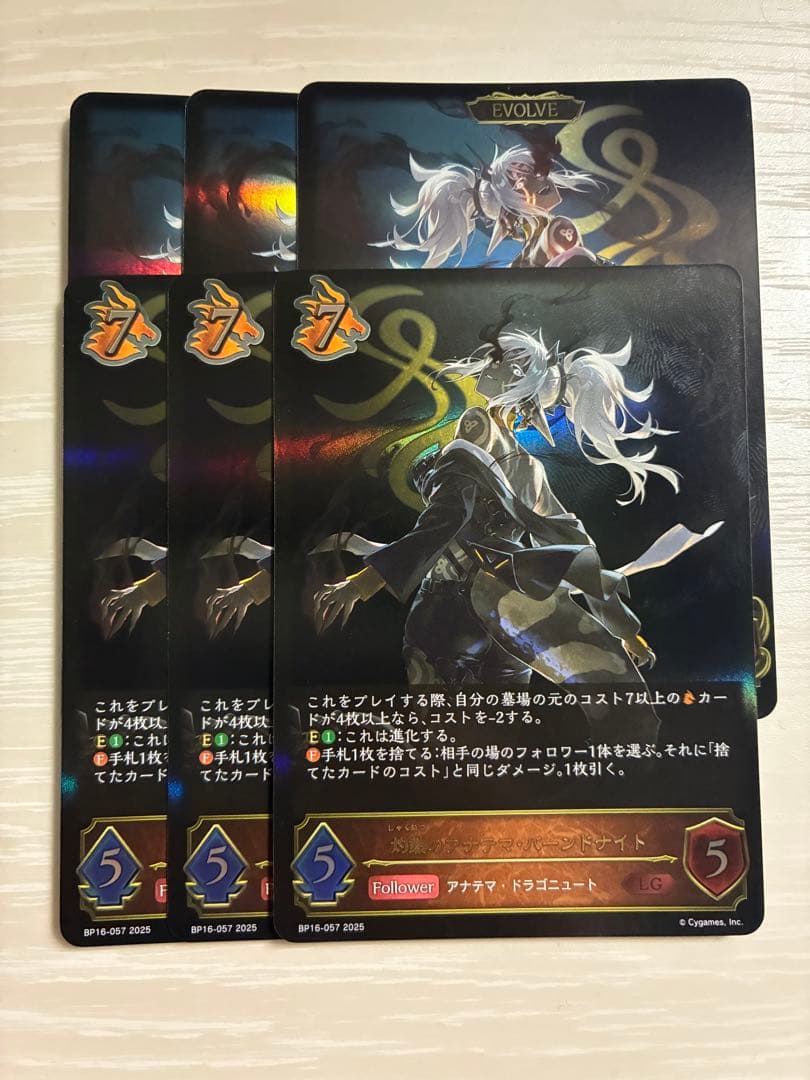 バーンドナイト　LG 進化セット