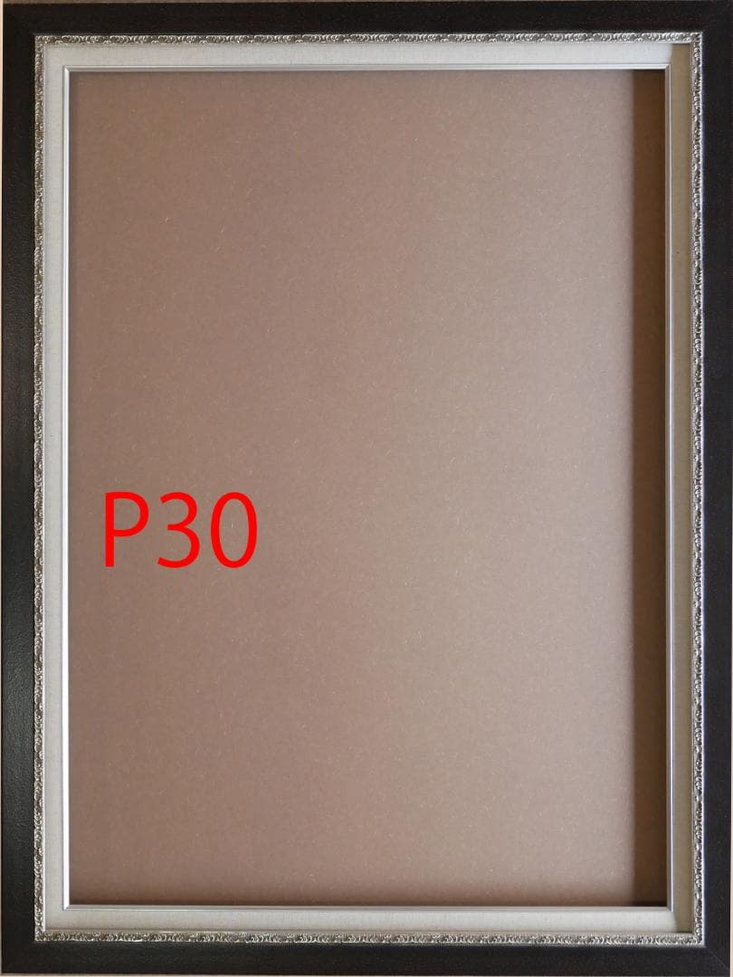 H a rr yP30 油彩額縁 黒 アクリル付き