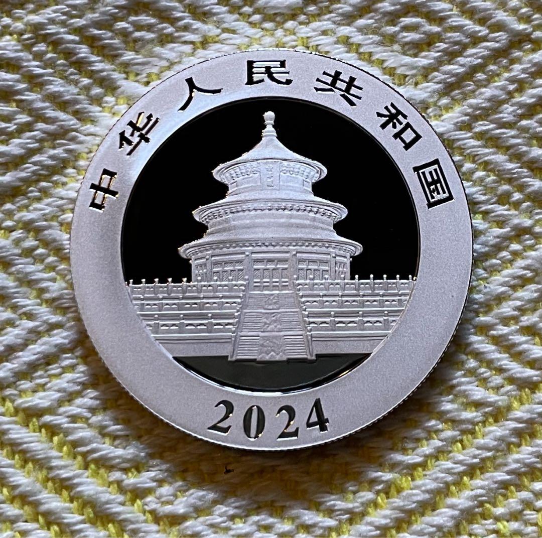 2枚セット　2024年 2023年 パンダ銀貨 30g×2 計2枚