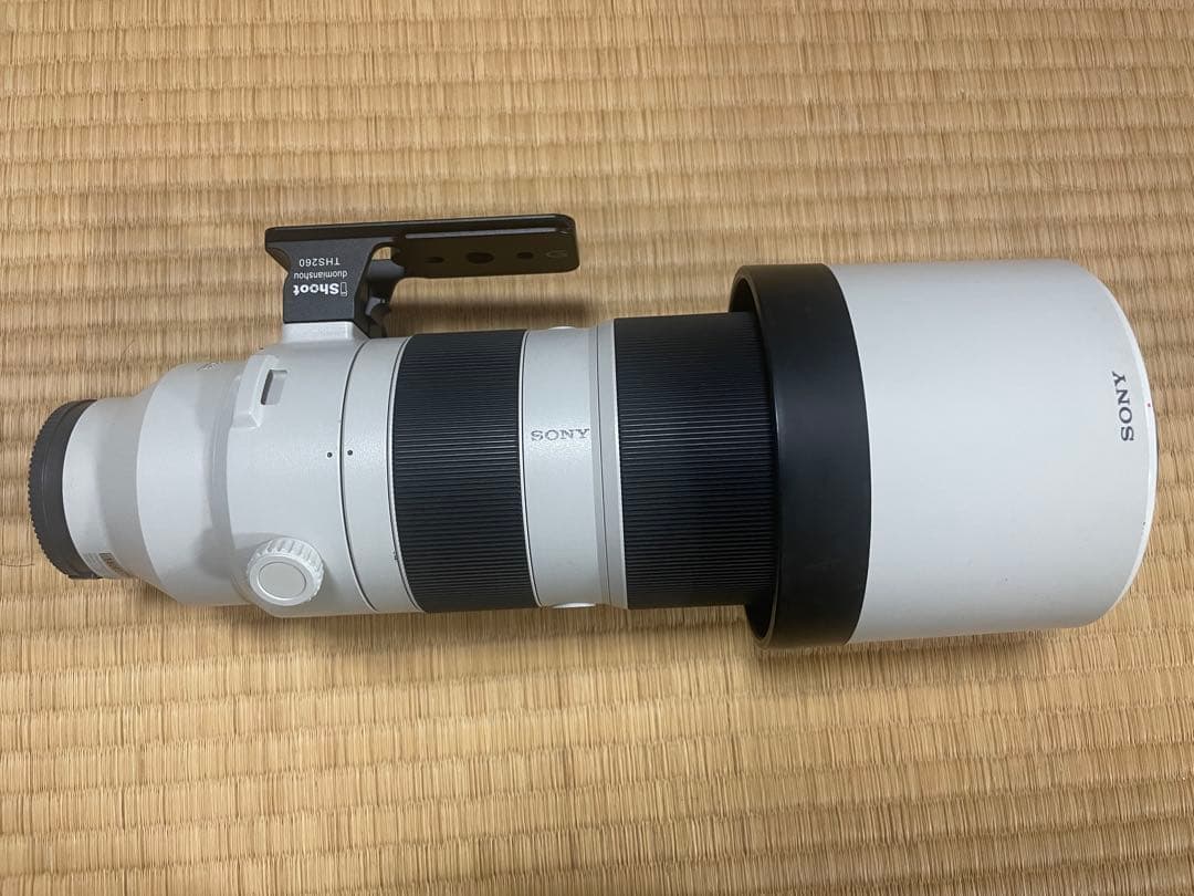 SONY FE 200mm -600mm 超望遠