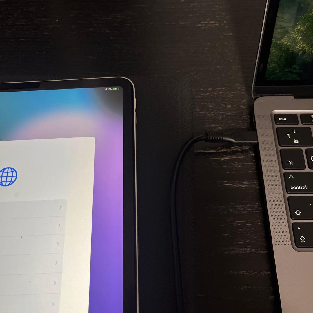 iPad Pro 11インチ(第一世代)256GB シルバー　ジャンク