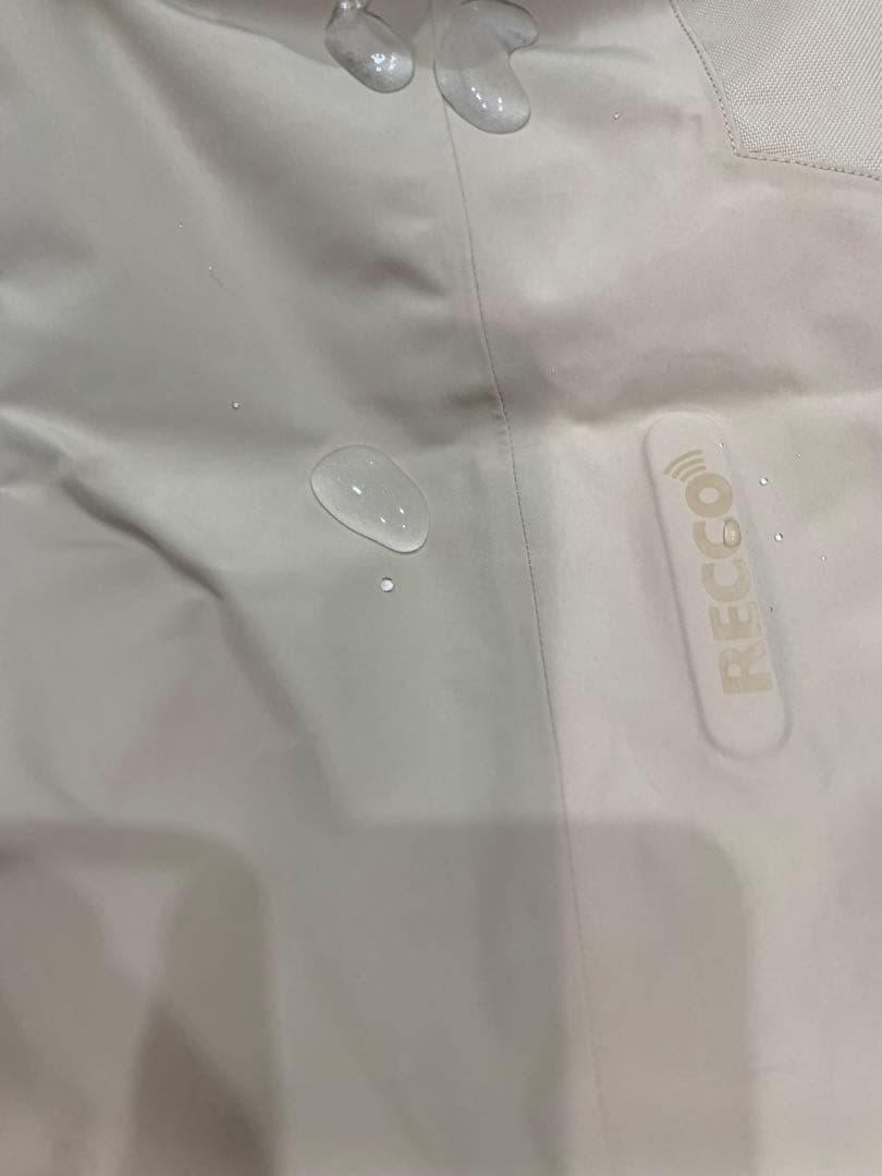 方々新品patagonia GORE-TEX RECCO付スノーボードパンツ