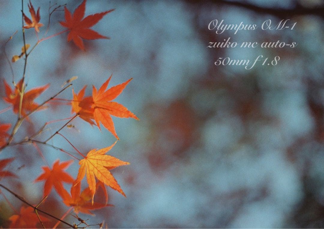 入門に★olympus om-1レンズセット★完動品＊美品＊初期保証＊作例多数！