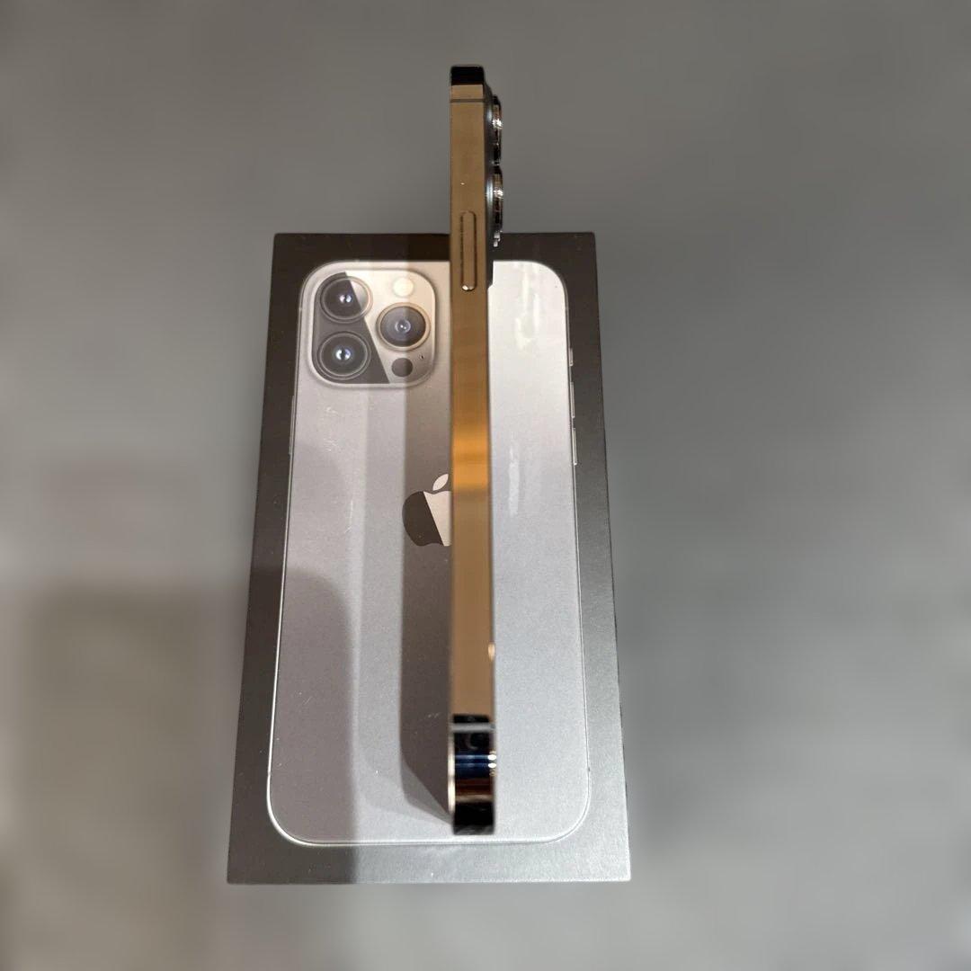 Apple iPhone 13 Pro max 1TBスペースブラックおまけ付き