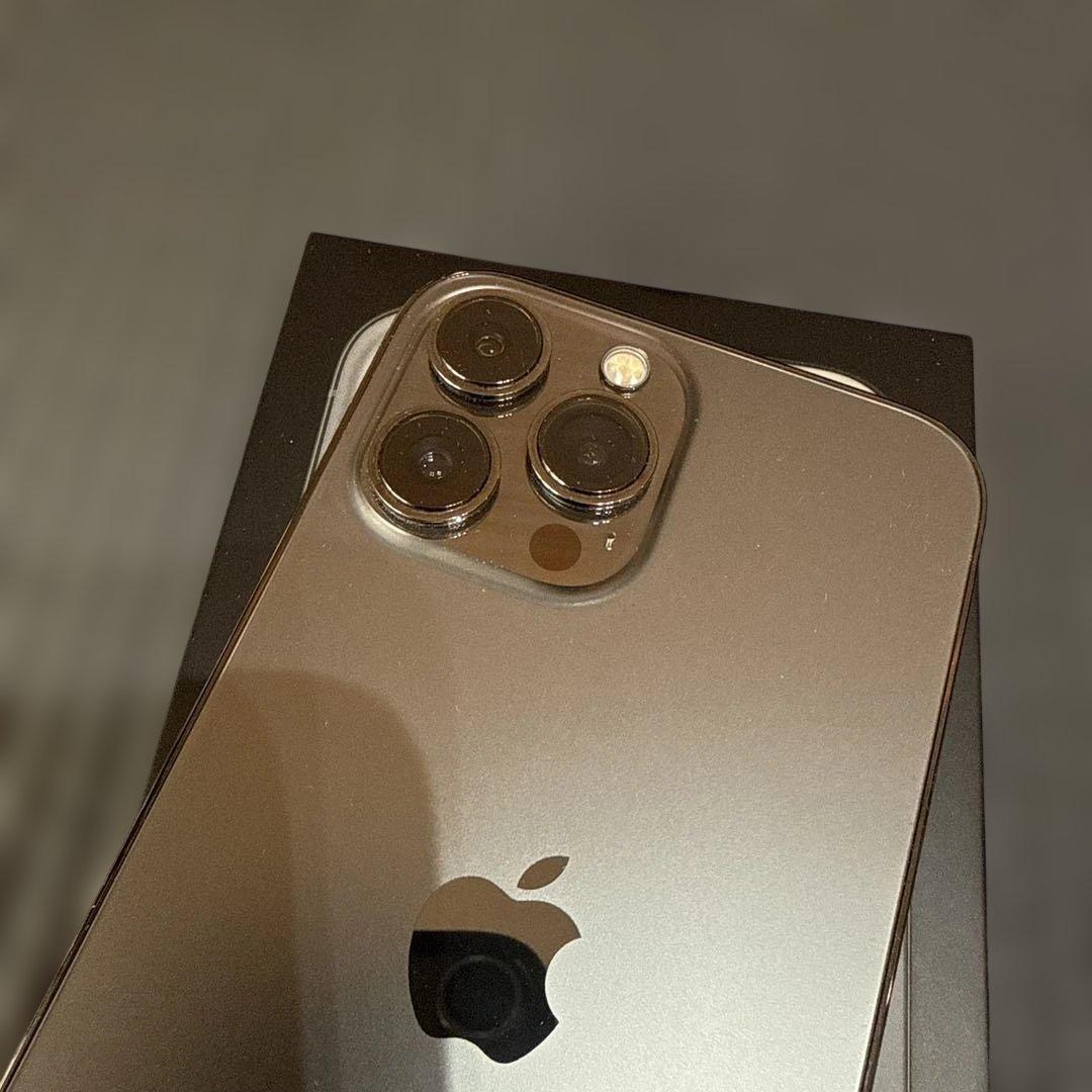 Apple iPhone 13 Pro max 1TBスペースブラックおまけ付き