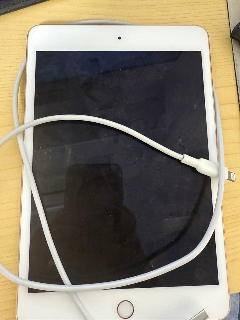 iPad mini 5(64gb Wi-Fi 本体とケーブルのみ)