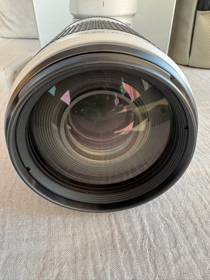 使用2週Canon EF100-400mm F4.5-5.6L ISII USM