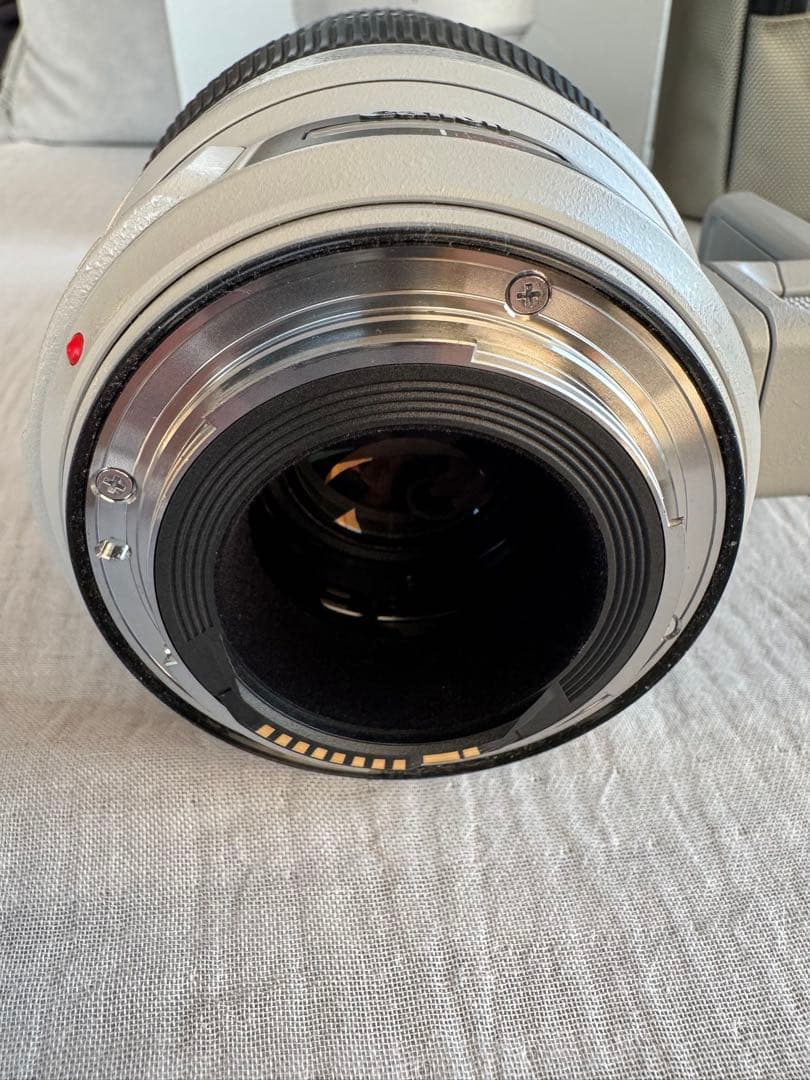 使用2週Canon EF100-400mm F4.5-5.6L ISII USM