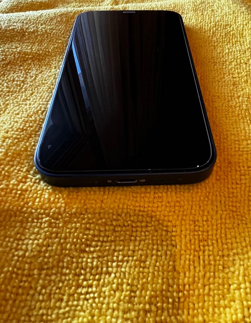 Apple iPhone 12 ブルー美品　価格相談承ります