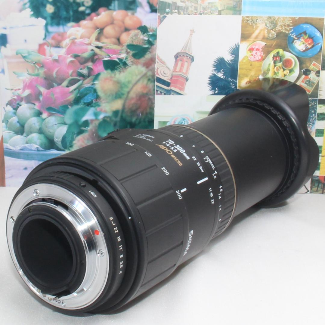 ❤️超望遠の世界観❤️シグマ 70-300mm APO❤️ペンタックス用❤️