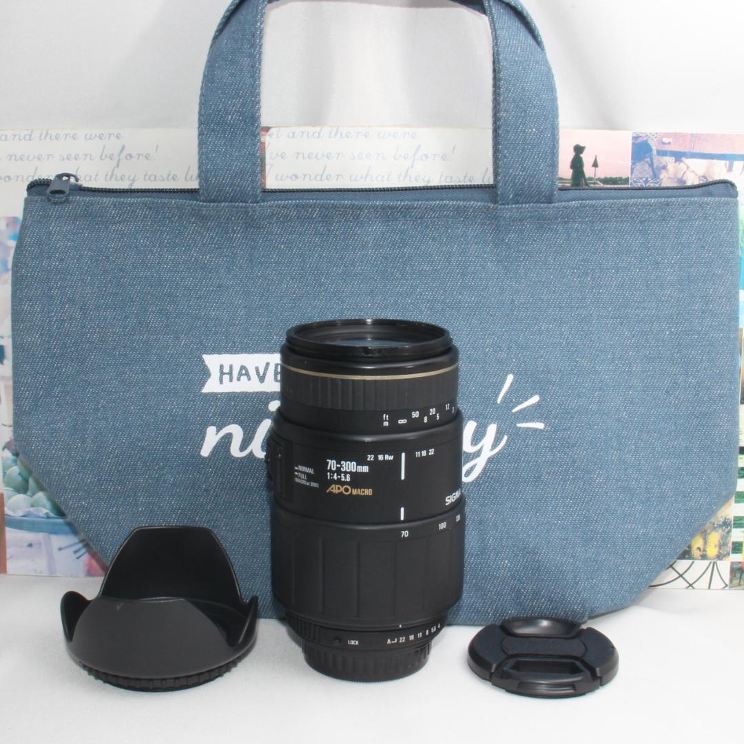 ❤️超望遠の世界観❤️シグマ 70-300mm APO❤️ペンタックス用❤️