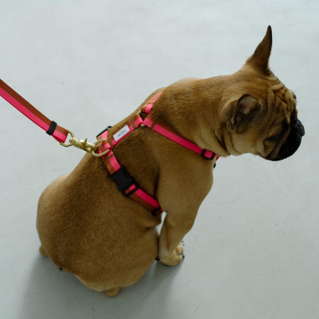 Ciiron Tokyo ハーネスPlum