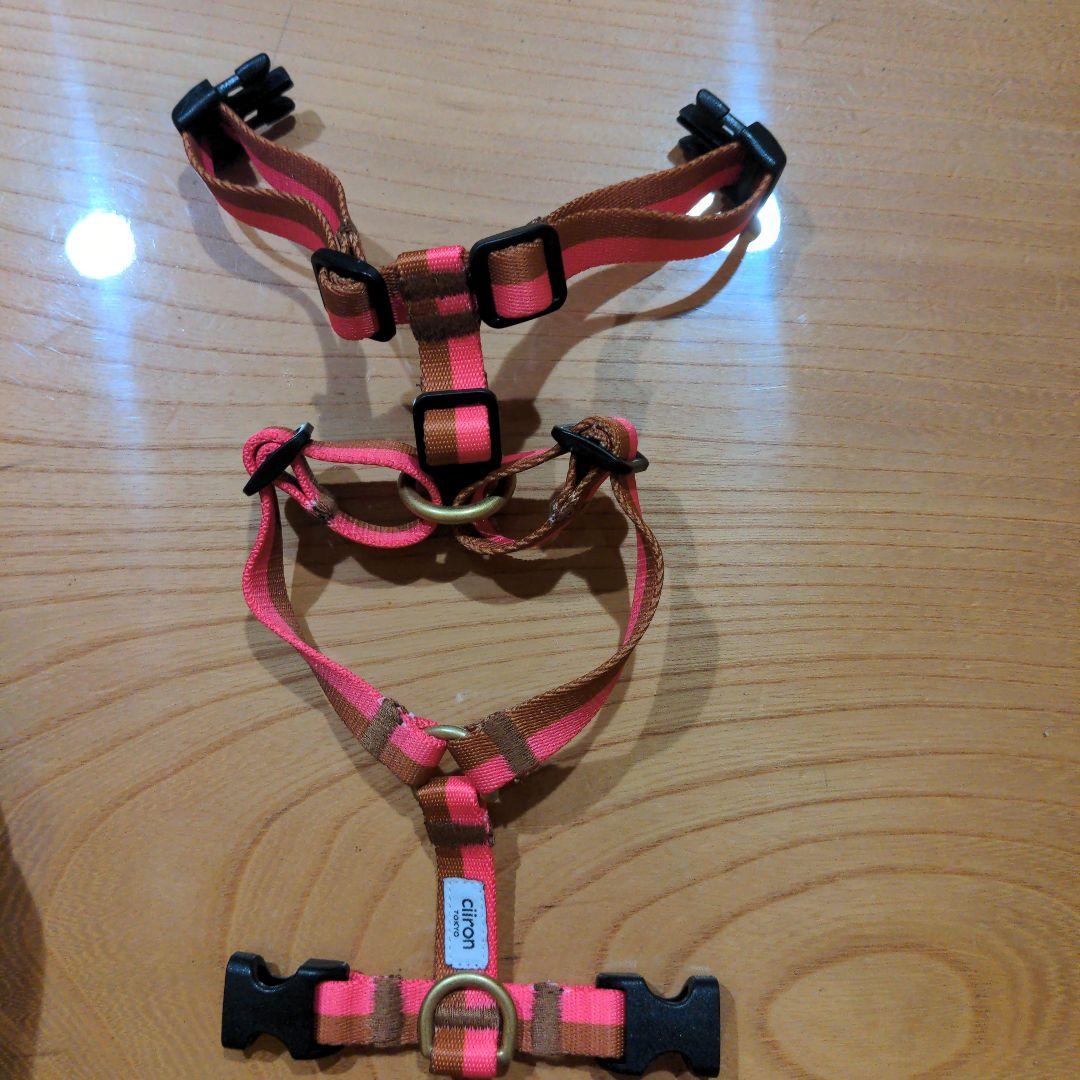 Ciiron Tokyo ハーネスPlum