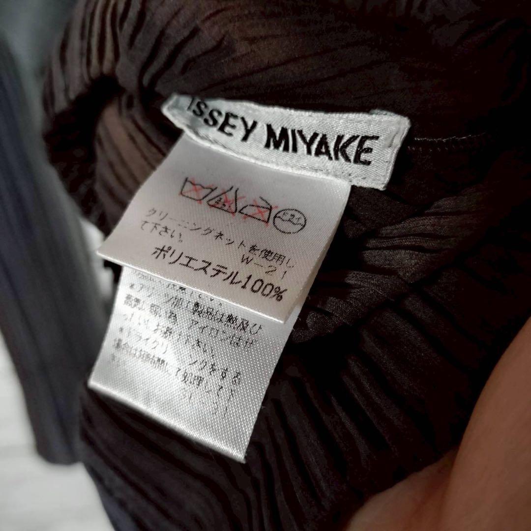 プリーツプリーズ イッセイミヤケ グラデーション 長袖カットソー Uネック