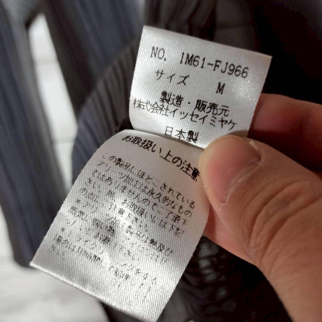 プリーツプリーズ イッセイミヤケ グラデーション 長袖カットソー Uネック