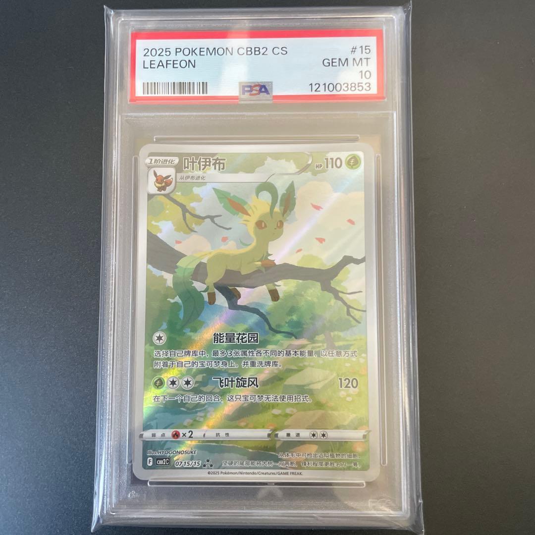 W*A様 リーフィア　中国　psa10