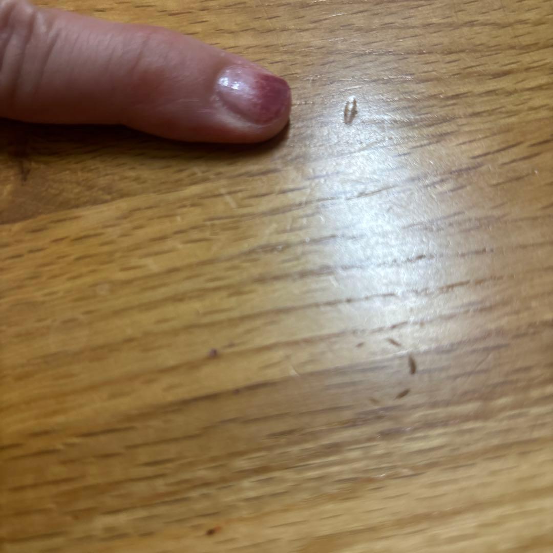 ぶんぶんハチさん専用　クラッシュゲート　木製テーブル