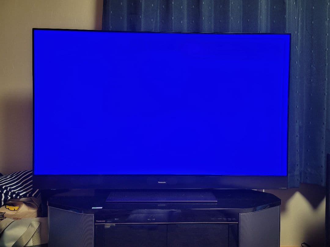 DEN DEN VIERA 有機EL TH-55GZ2000 訳あり品