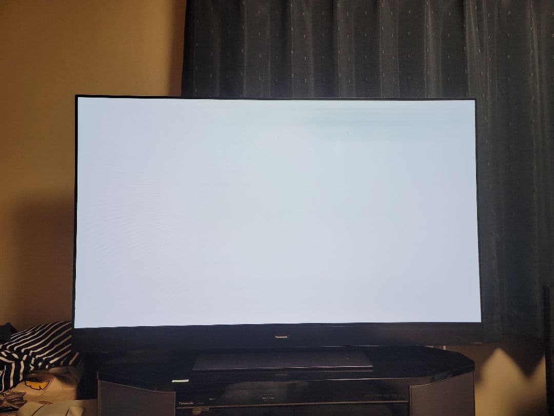 DEN DEN VIERA 有機EL TH-55GZ2000 訳あり品