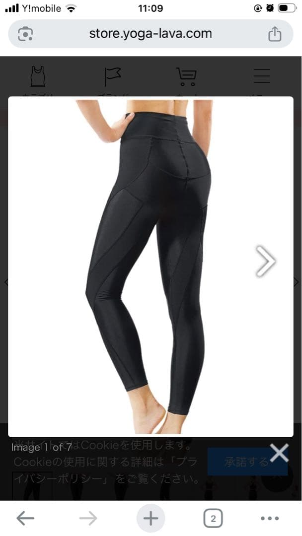 rintosul LAVA パーフェクトフォームレギンス L 黒