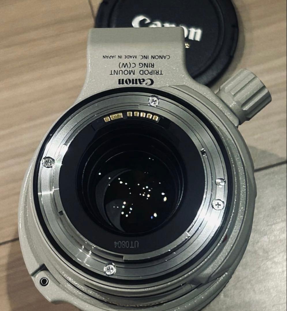 キャノン Canon EF28-300mm F3.5-5.6L IS USM