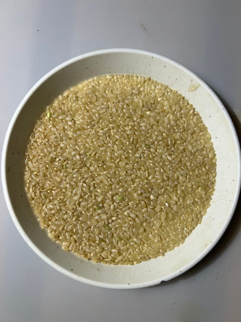 令和7年産　玄米25kg ななつぼし