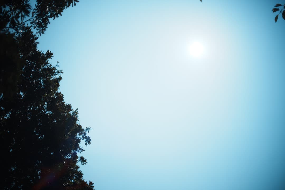 【詳細テスト済】Canon FD 50mm F1.4 S.S.C 558