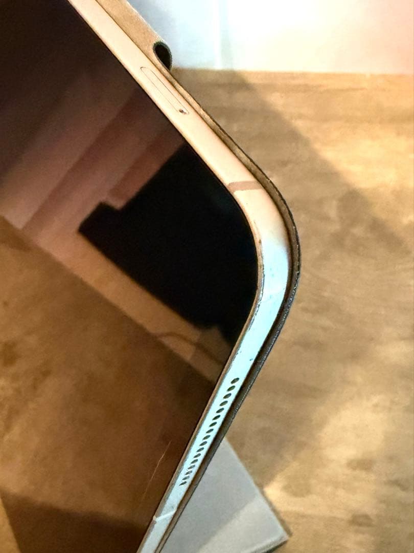 iPad pro 12.9 第3世代 Wi-Fi+Cellular Apple