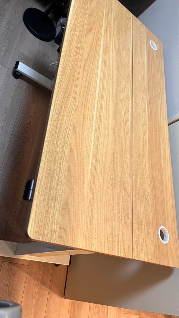 FLEXISPOT 電動式昇降デスク EG1-Light(幅120×奥行60)