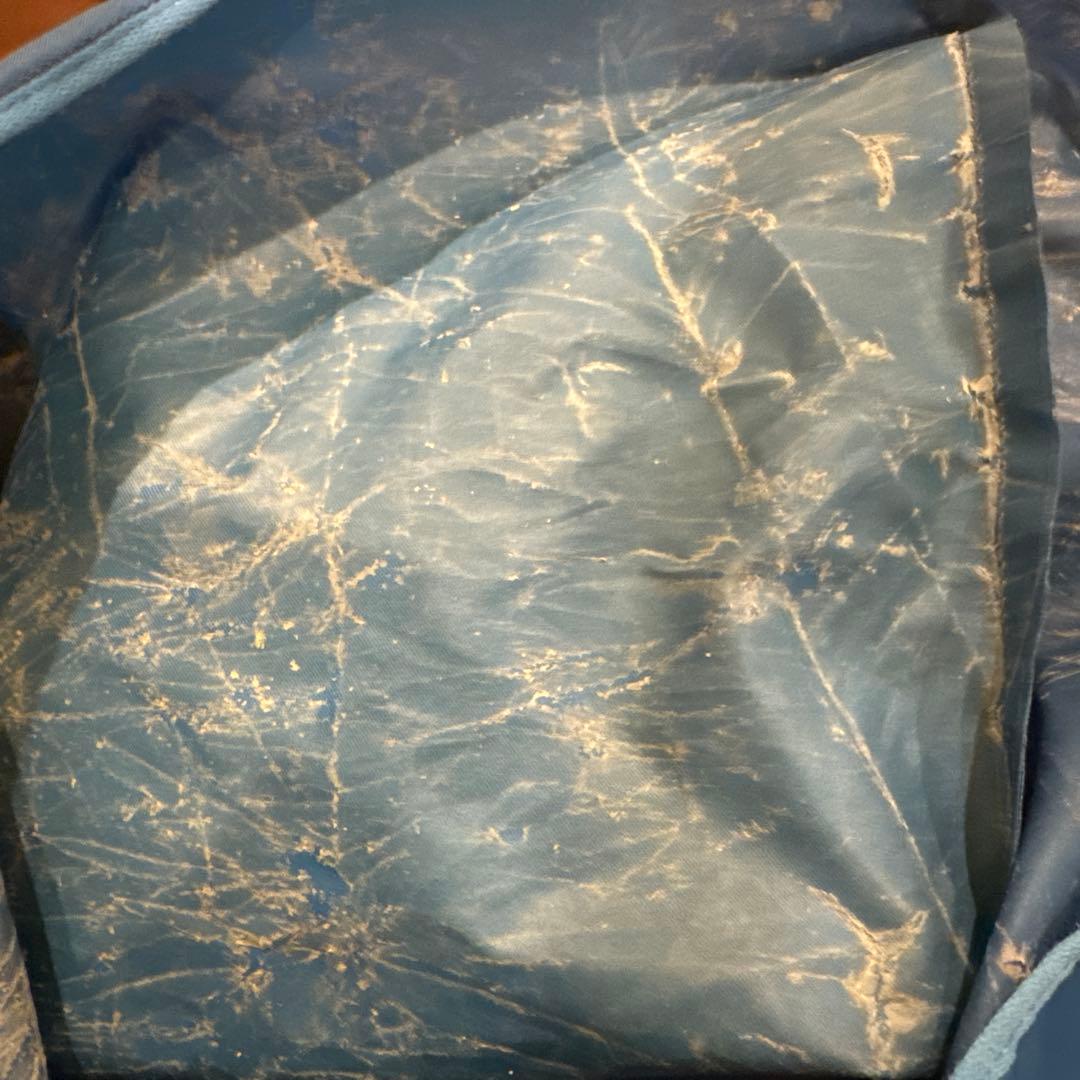 週末セール　バイオプトロン プロ1 美容ライト アグレックス