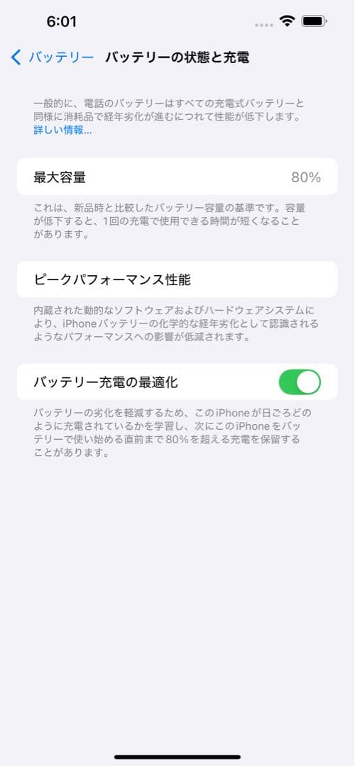 Apple iPhone13ProMAX シエラブルー 256GB