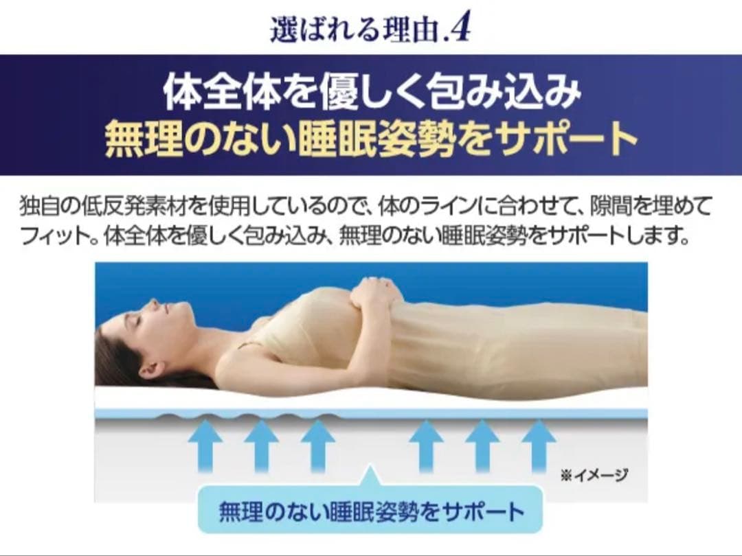 公式正規品:トゥルースリーパー プレミアリッチ 2枚セット