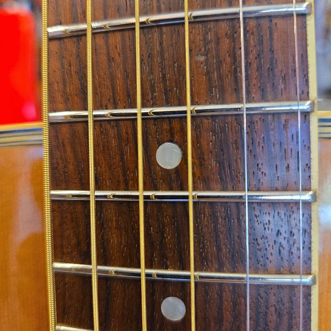 MORRIS MD-506 アコースティックギター