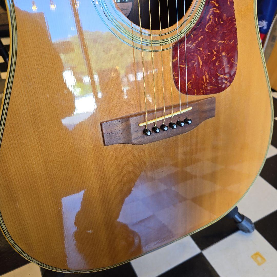 MORRIS MD-506 アコースティックギター