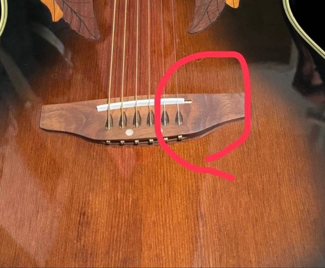 ギター GIORNO Ovation