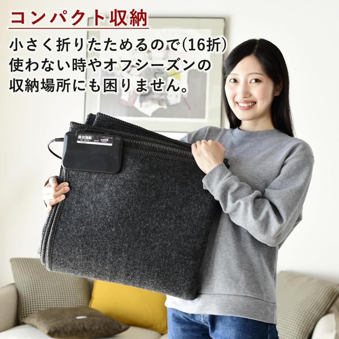 [山善] ホットカーペット 電気カーペット 2畳 AUC-201