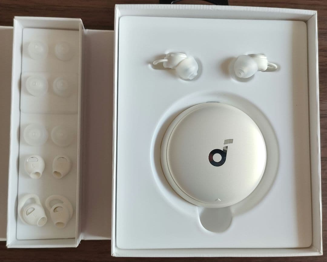 イヤホン ANKER Soundcore  Sleep a10