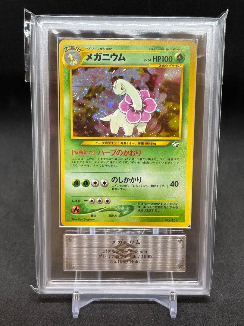 メガニウム ARS10 1999 プレミアムファイル　旧裏　渦巻あり