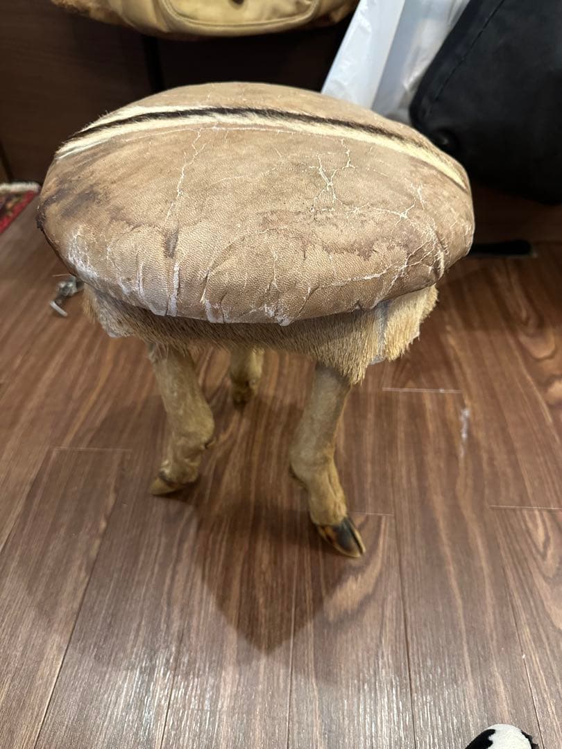 動物の足デザイン スツール　アンティーク剥製　ユニーク