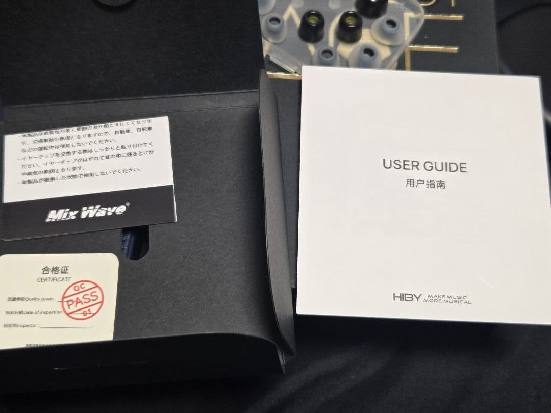 Hiby Project ACE イヤホン