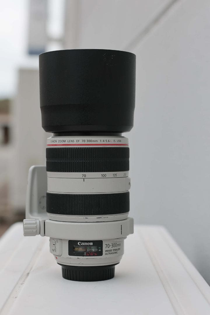 レンズ(ズーム) Canon EF 70-300mm f/4-5.6L IS USM