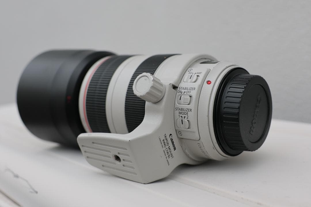 レンズ(ズーム) Canon EF 70-300mm f/4-5.6L IS USM