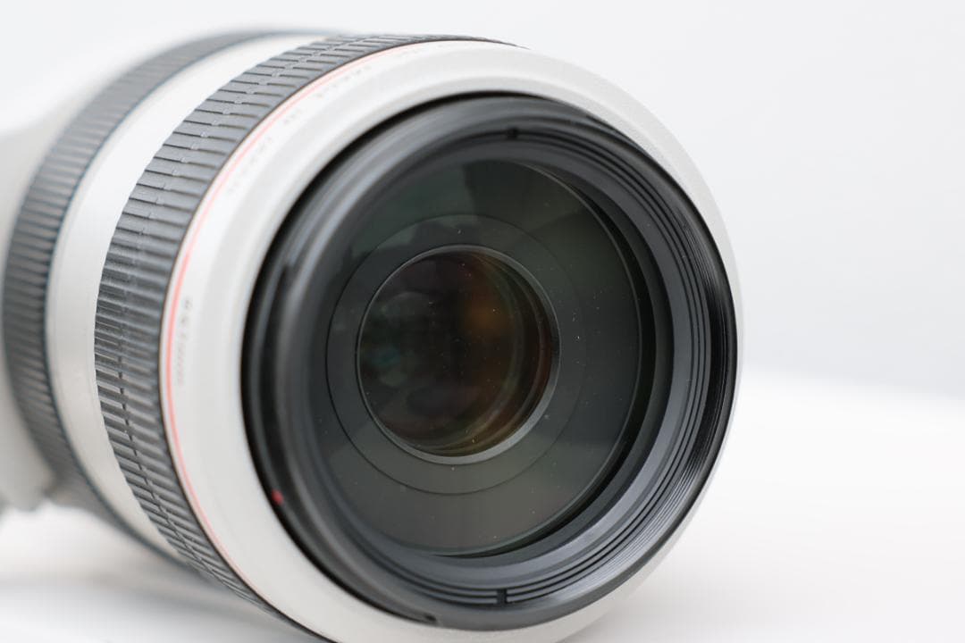 レンズ(ズーム) Canon EF 70-300mm f/4-5.6L IS USM