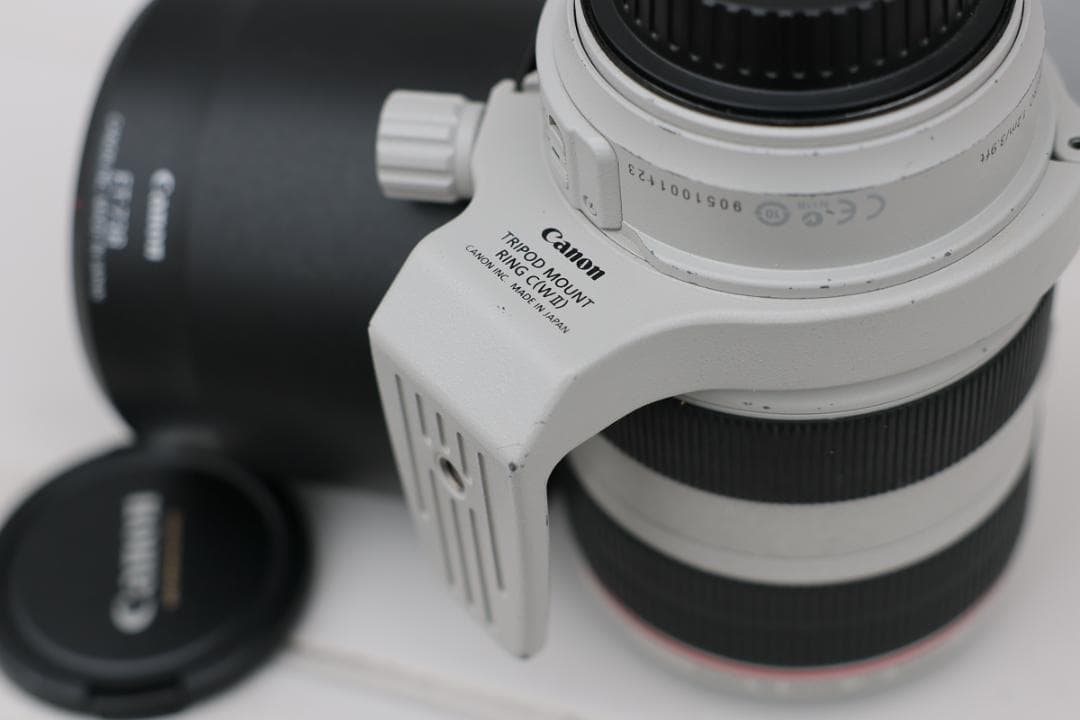 レンズ(ズーム) Canon EF 70-300mm f/4-5.6L IS USM